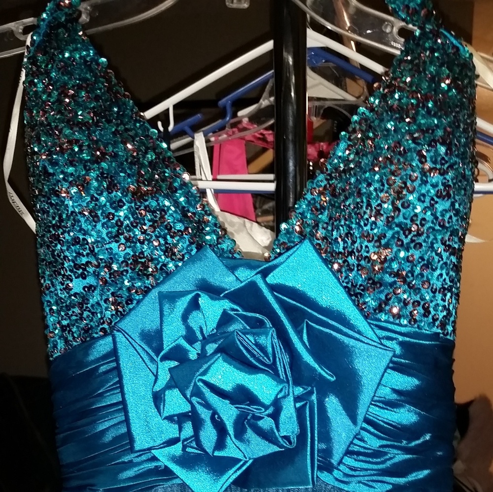 Prom or Homecoming Dress